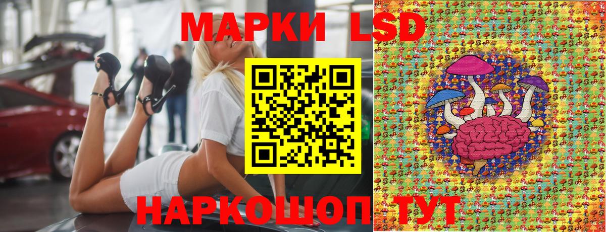 Галлюциногенные грибы Конаково