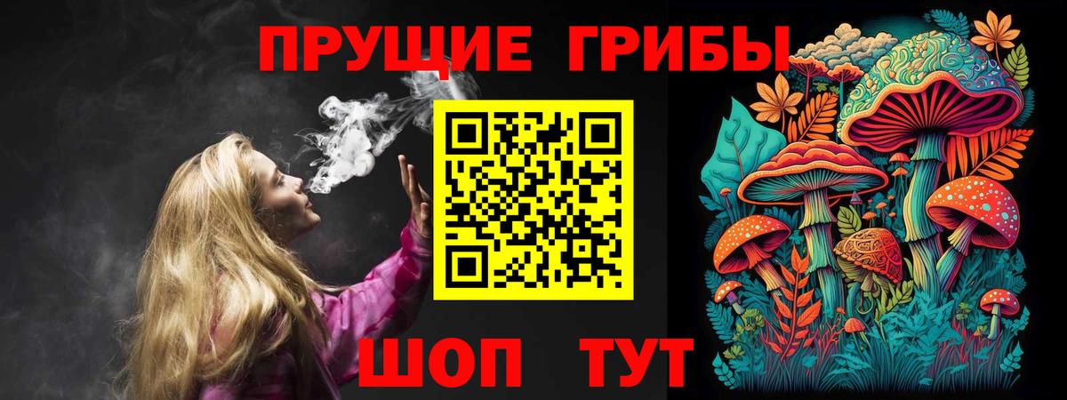 Псилоцибиновые грибы GOLDEN TEACHER  Псилоцибиновые грибы мицелий  Конаково  Вход с VPN 